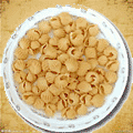 多功能面食機(jī)產(chǎn)品