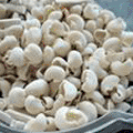 多功能面食機(jī)產(chǎn)品